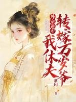 外室進(jìn)府，我休夫轉(zhuǎn)嫁萬(wàn)歲爺