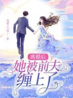 離婚后她被前夫纏上了