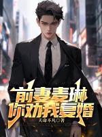 前妻麥琳，你勸我復(fù)婚？