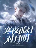 寒夜孤燈對月明