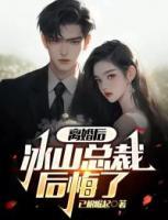離婚后，冰山總裁后悔了