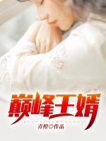 巔峰王婿