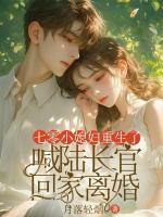 七零小媳婦重生了，喊陸長官回家離婚