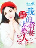 總裁初戀：我的嬌妻太撩人