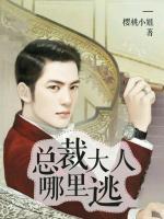 總裁大人哪里逃