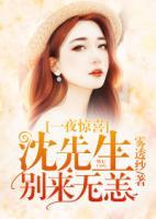 一夜驚喜：沈先生別來(lái)無(wú)恙