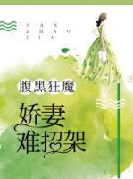 腹黑狂魔：嬌妻難招架