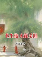 書生他又蠢又倔