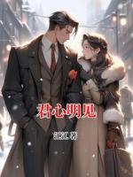 君心明見