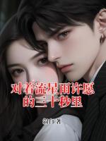 對著流星雨許愿的三十秒里