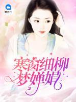 寒窗細(xì)柳夢嬋娟