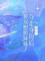 被雙胞胎妹妹奪走身份后，我笑了