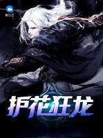 護(hù)花狂龍