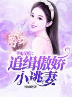 一吻成癮：追緝傲嬌小逃妻