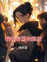 我在泰國(guó)失蹤后