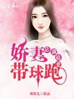 總裁追愛(ài)，嬌妻帶球跑