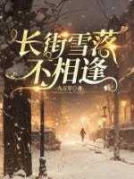 長(zhǎng)街雪落不相逢