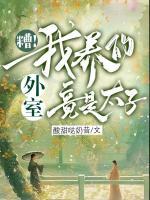 糟！我養(yǎng)的外室竟是太子