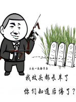 我墳頭都長草了，你們知道后悔了？