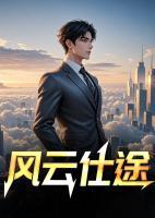 風云仕途