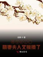 將軍在上：萌妻夫人又挨揍了