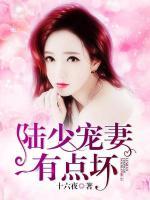 陸少寵妻有點(diǎn)壞