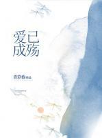 愛已成殤