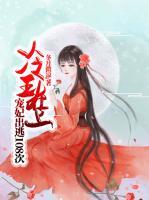 冷王在上：寵妃出逃108次