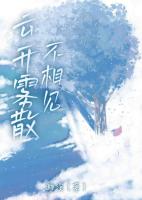 云開(kāi)霧散不相見(jiàn)