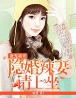 盛寵霸愛：隱婚辣妻請上坐