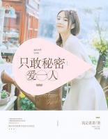 只敢秘密愛一人