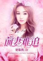 前妻難追