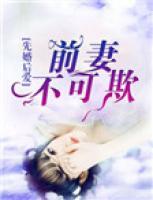 先婚后愛(ài)：前妻不可欺