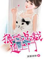 狼性總裁追上門