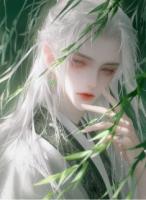 美人何處醉黃花