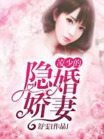 凌少的隱婚嬌妻