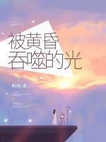 被黃昏吞噬的光