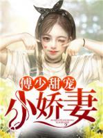 傅少甜寵小嬌妻