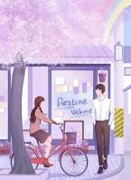 我要離婚杜知知