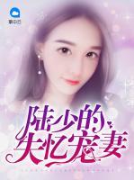 陸少的失憶寵妻