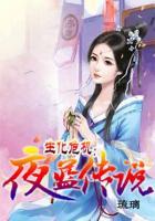 生化危機(jī)：夜藍(lán)傳說