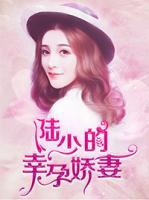 陸少的幸孕嬌妻