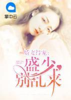 嬌妻得寵：盛少別亂來