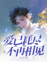 愛(ài)已耗盡，不再相見(jiàn)