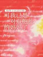 他終于同意結(jié)婚，可我已是一對雙胞胎的媽媽了