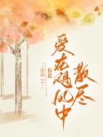 愛(ài)在颶風(fēng)中散盡