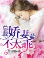 總裁嬌妻不太乖