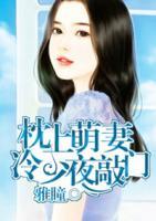 枕上萌妻：冷少夜敲門