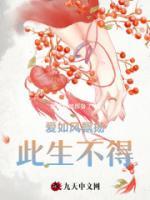 愛如風(fēng)飄揚，此生不得
