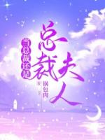當總裁還是總裁夫人